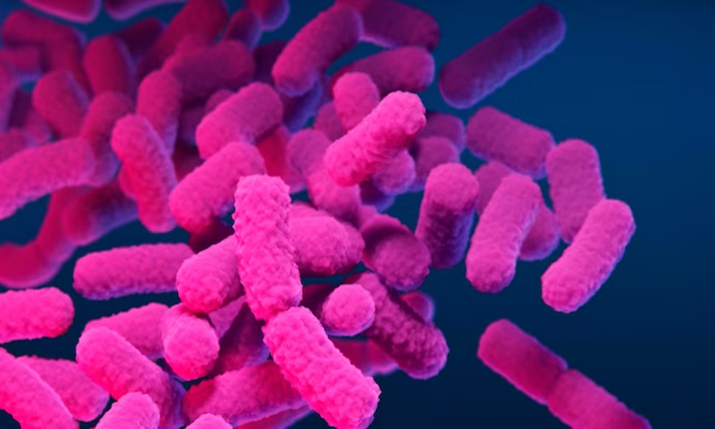 New Year New Concern For America:Bacteria Ringing Danger Bells!