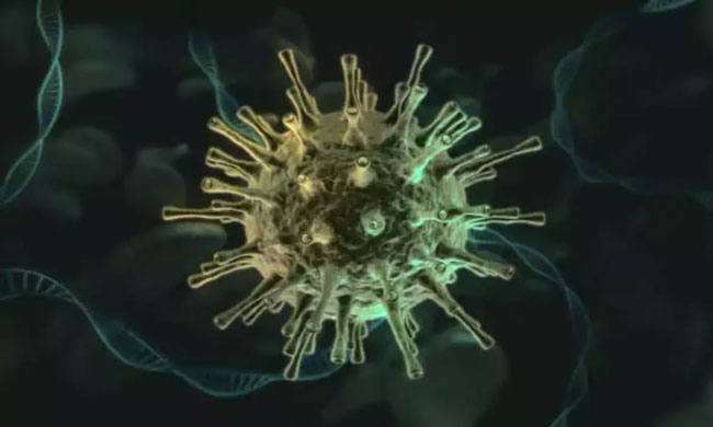 New Pandemic In 10 Years..?