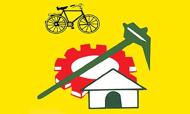 Why is TDP looking for suitable NRIs?