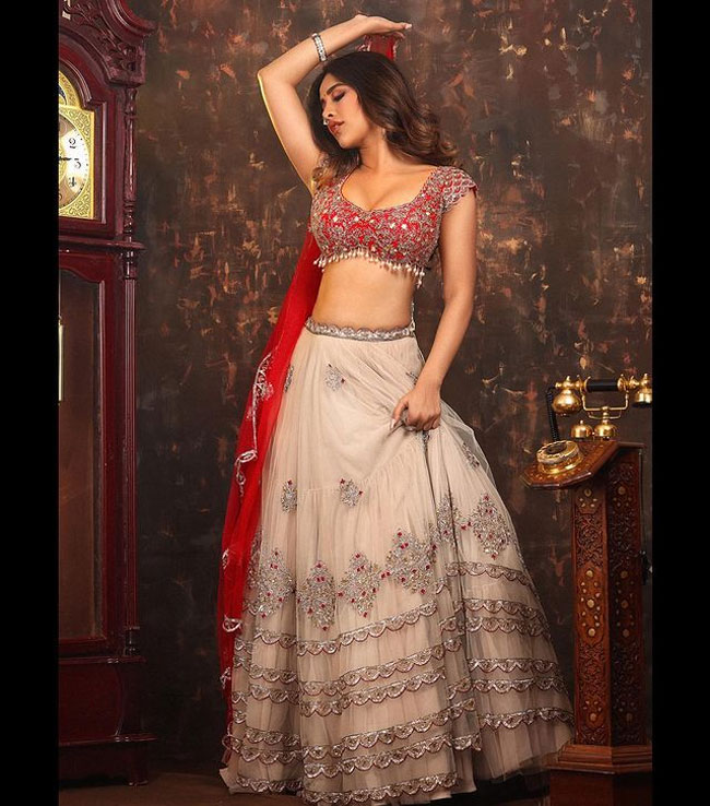 Glamorous Clicks Of Nabha Natesh