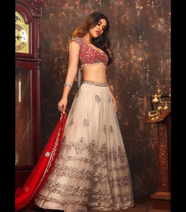 Glamorous Clicks Of Nabha Natesh