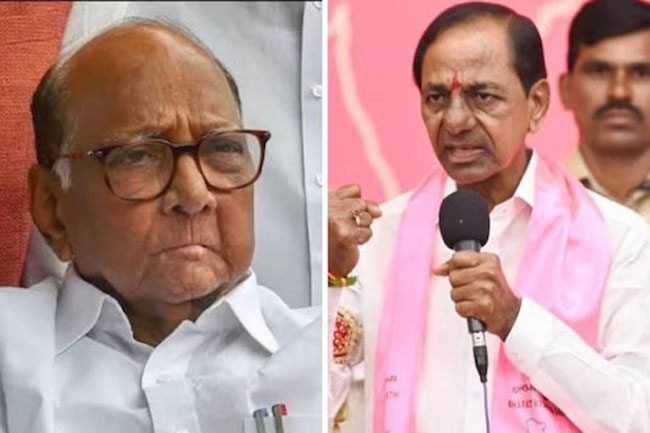 Sharad Pawar Objects To What KCR Did In Maha Tour!