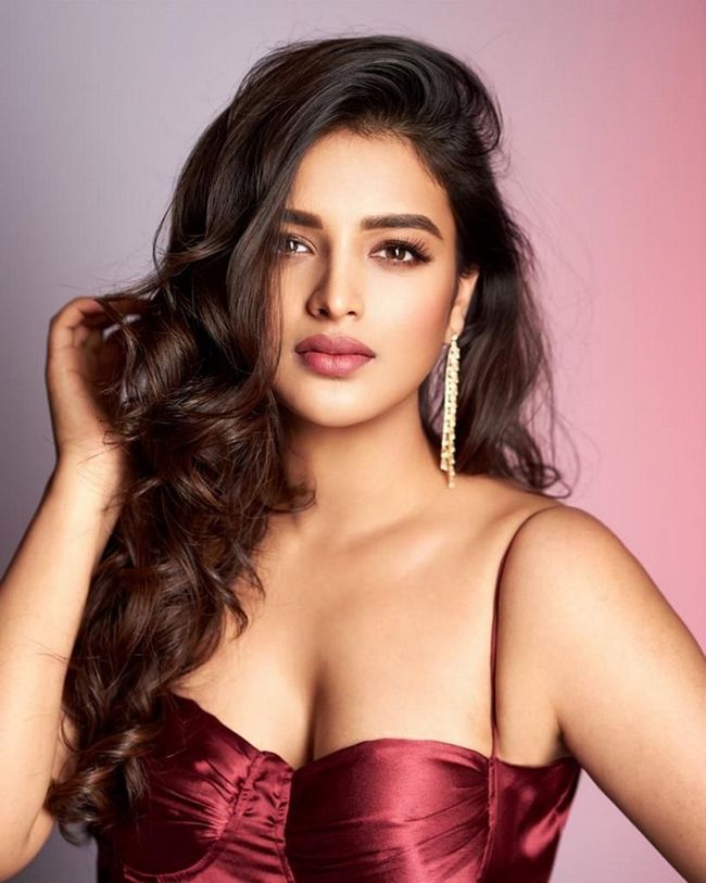 Sensational Looks Of Nidhhi Agerwal