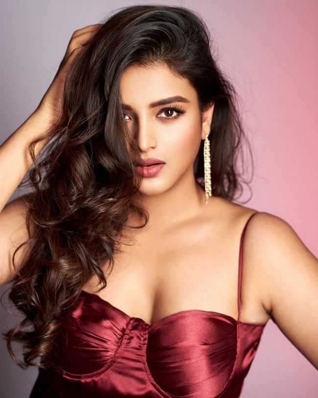 Sensational Looks Of Nidhhi Agerwal